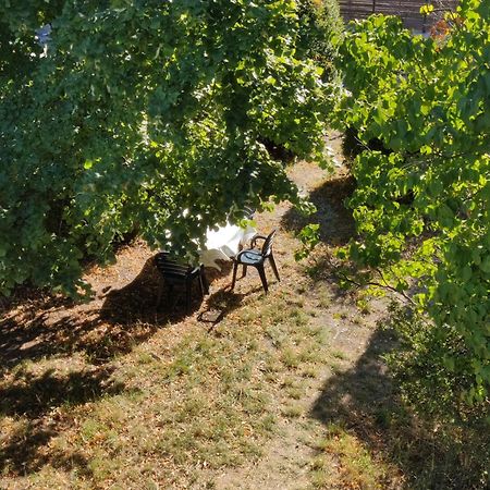Rendez-Vous Sous Le Tilleul, En Cevennes. Molieres-Cavaillac Bagian luar foto